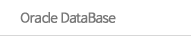 Oracle DataBase